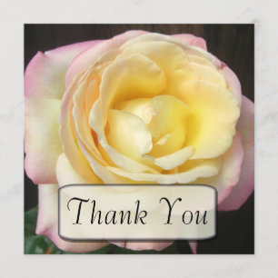 Peace Rose Thank You Cards
