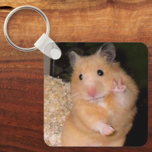 Peace  Scared Hamster Meme Double Sided Keychain