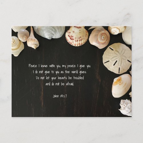 Peace Scripture Comfort Seashells Wood Postcard