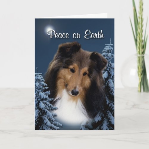 Peace Sheltie Xmas Card