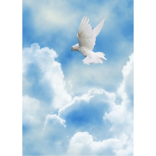 Peace Telephone Address Book (Front)