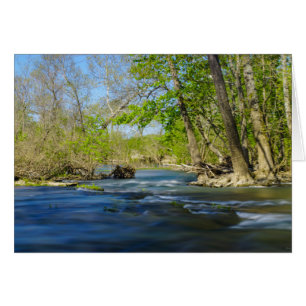 Peaceful At The River