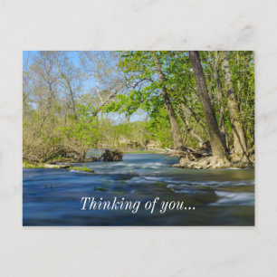 Peaceful At The River Postcard