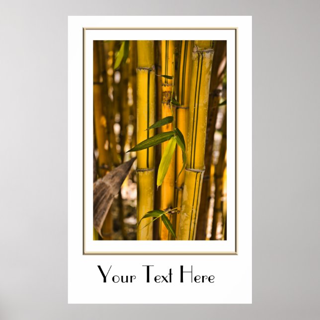 Peaceful Bamboo Jungle Poster (Front)