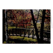 Peaceful bridge (Front Horizontal)