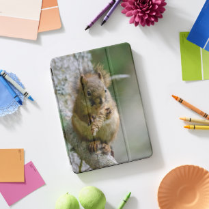 Peaceful Brown Squirrel in Canadian Nature iPad Pro Cover