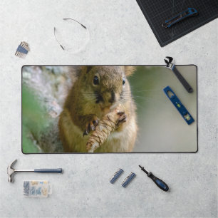 Peaceful Brown Squirrel in the Wild Desk Mat