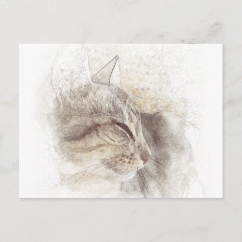 Peaceful Cat Digital Pencil Drawing Art Postcard