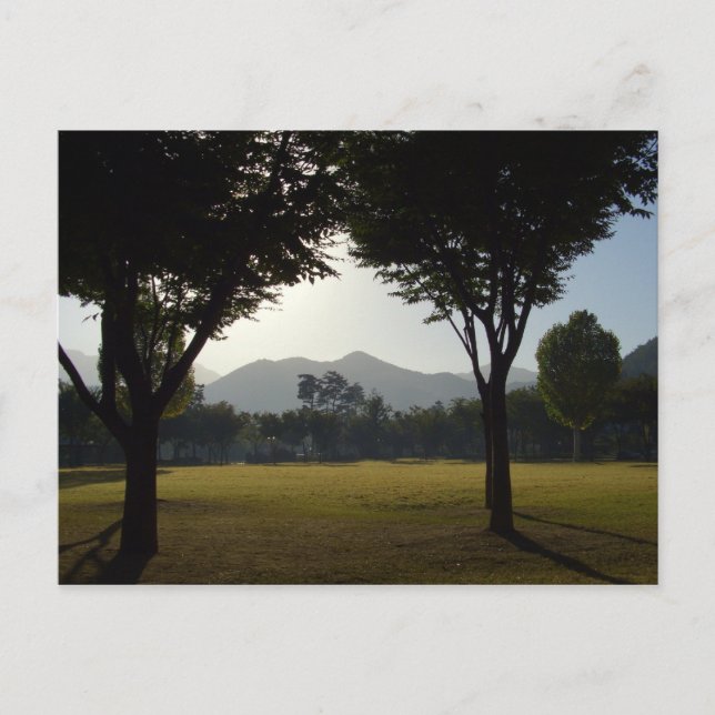 Peaceful day postcard (Front)