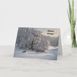 Peaceful Deer in a Snowy Meadow Christmas Card