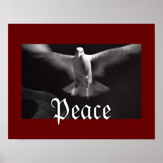 Peaceful Dove Poster (Front)