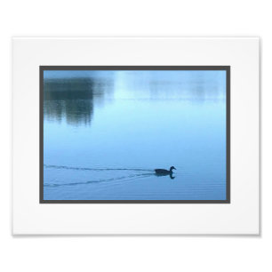 Peaceful Duck in water photo print