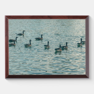 Peaceful Ducks on the Water Photography Award Plaque