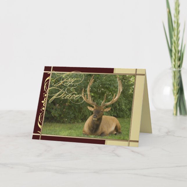 Peaceful Elk Natures Greetings Holiday Card (Front)