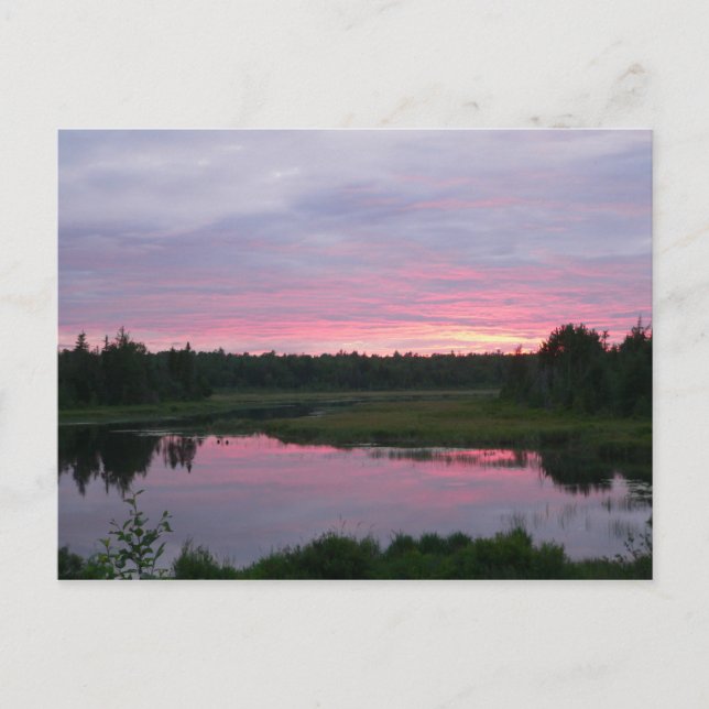 Peaceful evening Postcard (Front)