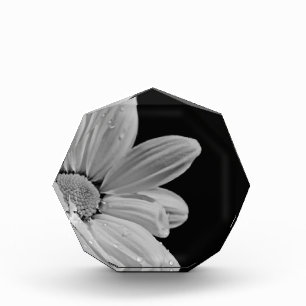 Peaceful Floral Acrylic Award