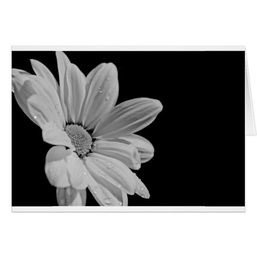 Peaceful Floral Cards (Front Horizontal)