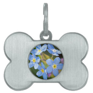 Peaceful Floral Forget Me Not Pet Name Tag