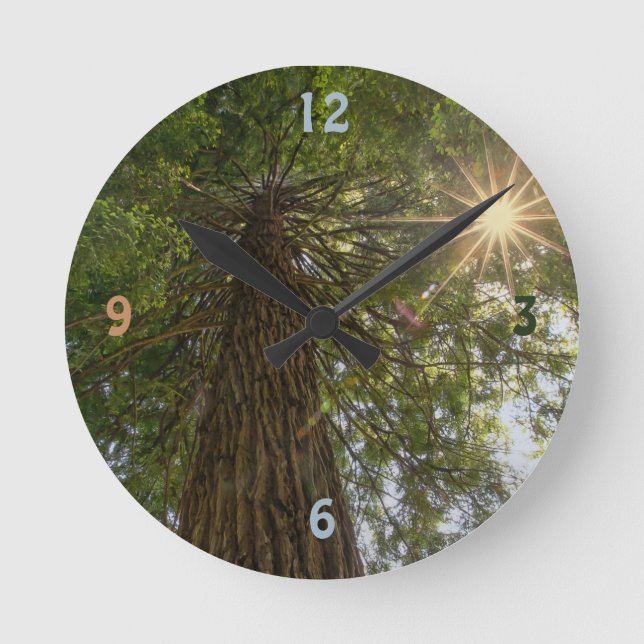 Peaceful Forest With Golden Light Nature Photo Round Clock (Front)
