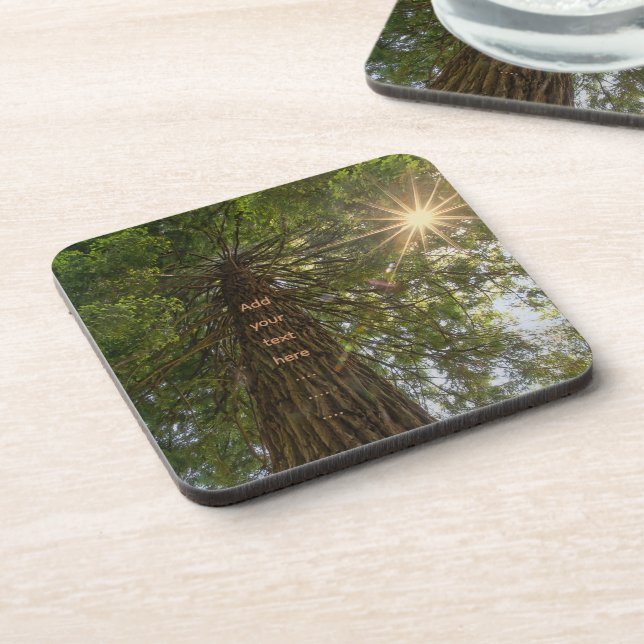 Peaceful Forest With Golden Light Photo Beverage Coaster (Left Side)