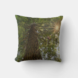 Peaceful Forest With Golden Light Photo Only Throw Pillow
