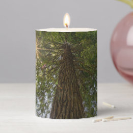Peaceful Forest With Golden Light Photo Pillar Candle