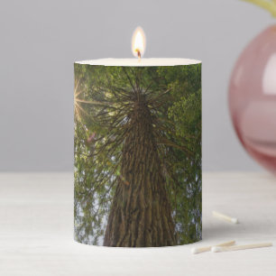 Peaceful Forest With Golden Light Photo Pillar  Candle