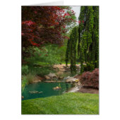 Peaceful Garden (Front)