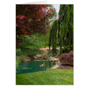 Peaceful Garden Cards