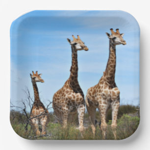 Peaceful Giraffe Family on Hilltop Paper Plates