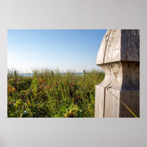 Peaceful grassy scene along the coastline poster