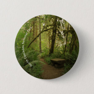 Peaceful Green Forest Trail in Washington Button