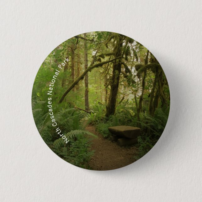 Peaceful Green Forest Trail in Washington Button (Front)
