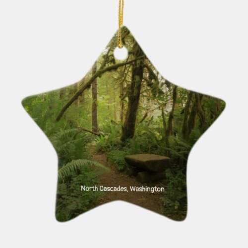 Peaceful Green Forest Trail in Washington Ceramic Ornament