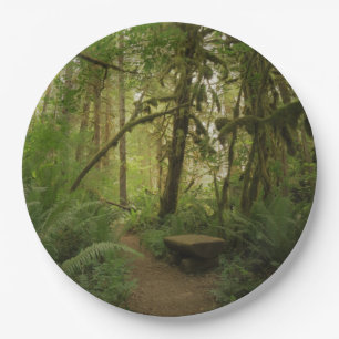 Peaceful Green Forest Trail in Washington Paper Plates
