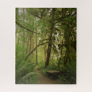 Peaceful Green Forest Trail Washington Jigsaw Puzzle