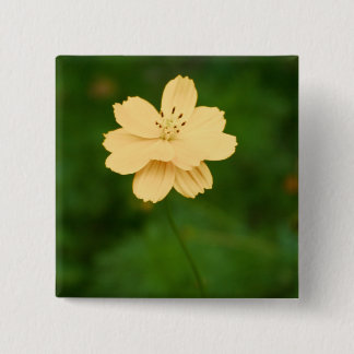 Peaceful Harmony Button