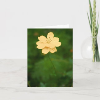 Peaceful Harmony Card