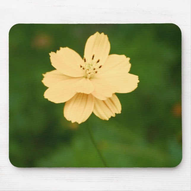 Peaceful Harmony Mouse Pad (Front)