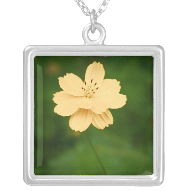 Peaceful Harmony Necklace (Front)
