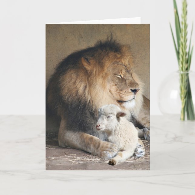 Peaceful holidays holiday card (Front)