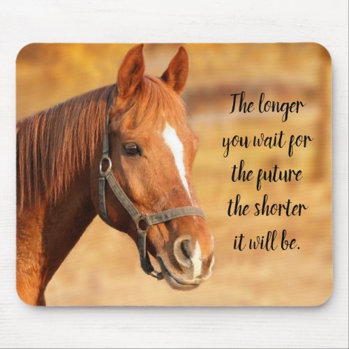 Peaceful Horse Mouse Pad