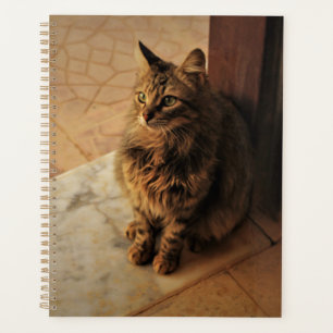 Peaceful Kitty Notebook