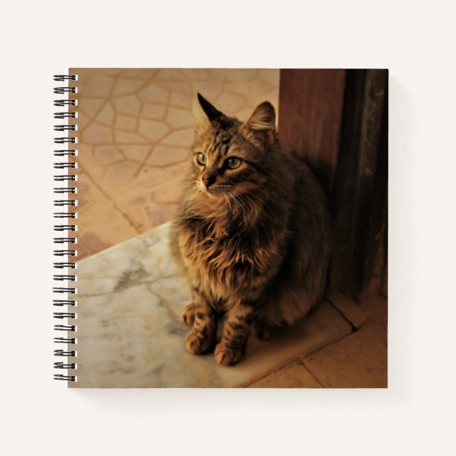 Peaceful Kitty Notebook (Front)