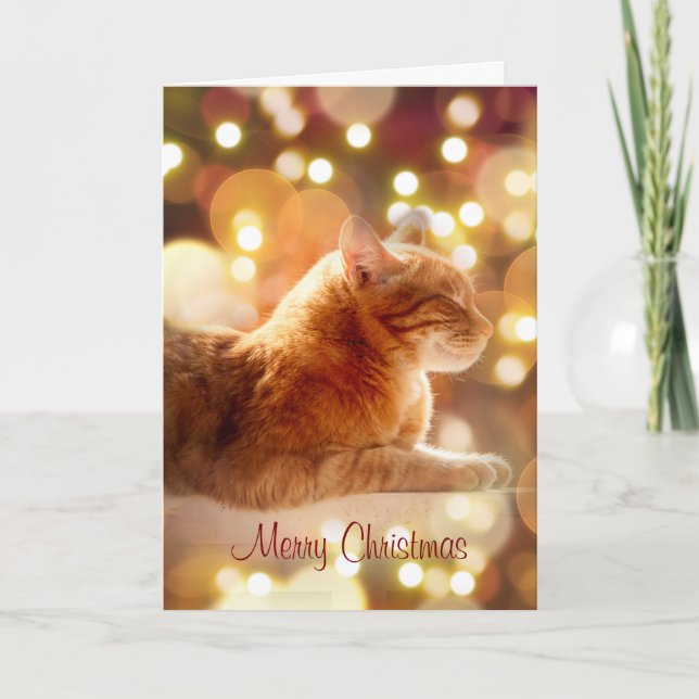 Peaceful Kitty with Christmas Lights Holiday Card (Front)