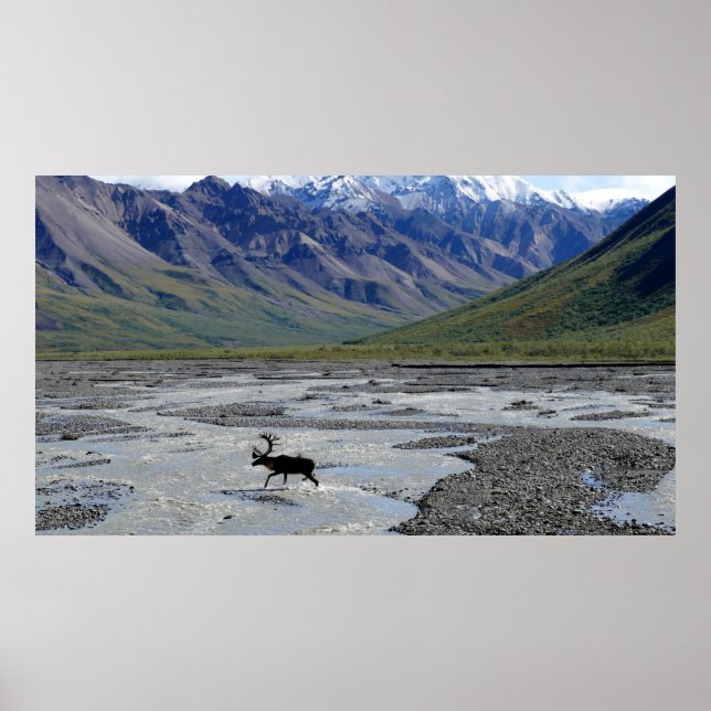 PEACEFUL LANDSCAPE WITH REINDEER POSTER (Front)