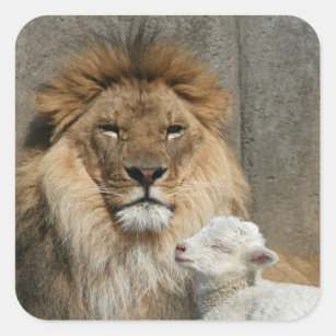 Peaceful lion and lamb square sticker