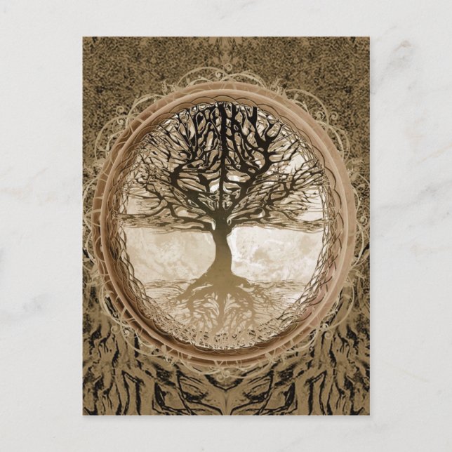 Peaceful Living Tree Postcard (Front)