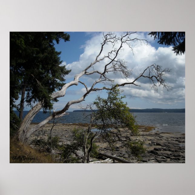 Peaceful Moments Poster (Front)