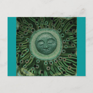 Peaceful Moon Postcard